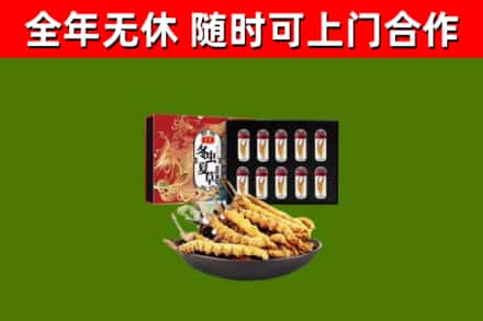 桃山烟酒回收冬虫夏草礼盒.jpg