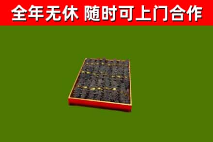 桃山回收海参